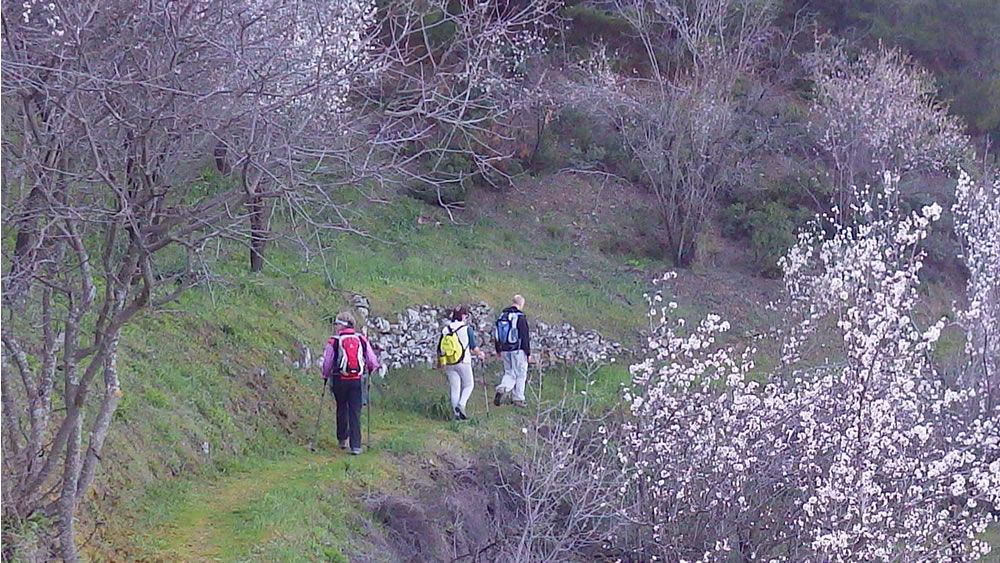 Walkers along the Two Unesco Churches Trail