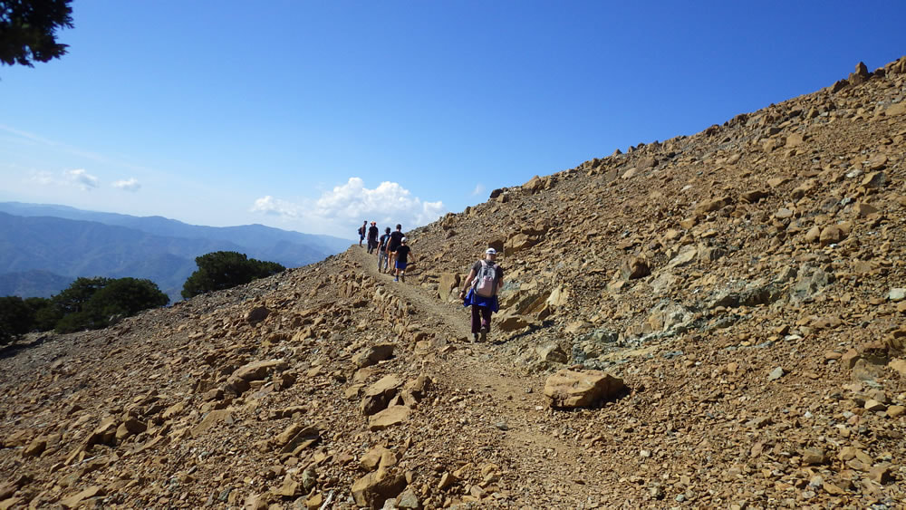A group of walkers walking on a barren stretch of  Artemis trail
